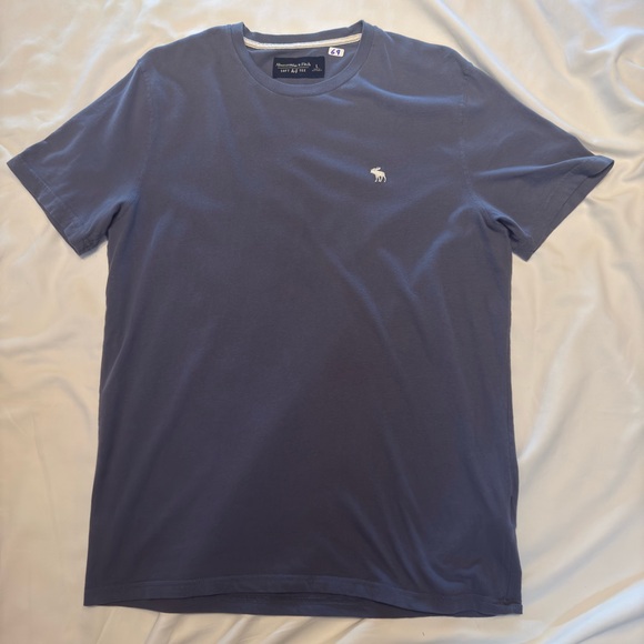 Abercrombie & Fitch Other - Abercrombie and Fitch, large blue T-shirt